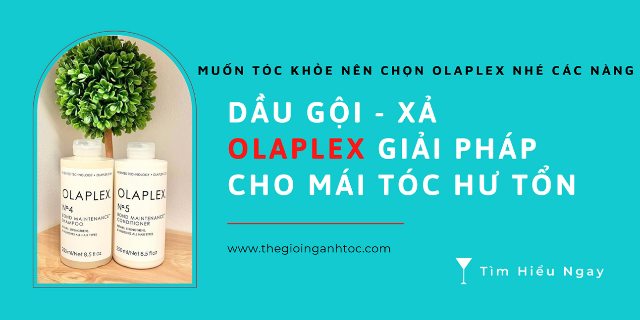 Vì sao bạn nên sử dụng dầu gội xả Olaplex để phục hồi tóc hư tổn?